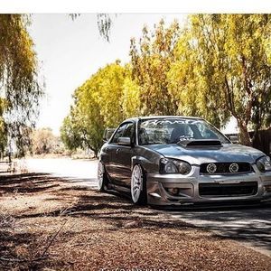 Meet your Posher, Leonel